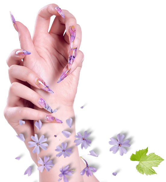 nail design front image